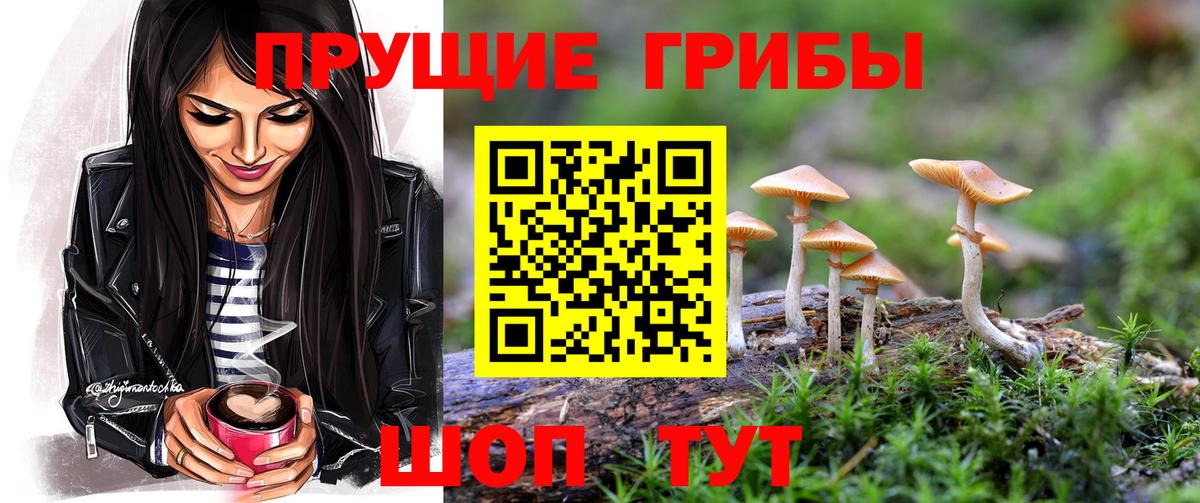 Псилоцибиновые грибы GOLDEN TEACHER  Псилоцибиновые грибы GOLDEN TEACHER  наркошоп  Вход с VPN  Шали 